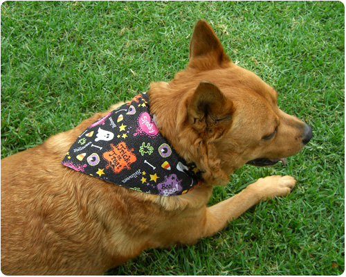 Washable Reversible Printing Bibs Dog Kerchief Set Triangle Dog Scarf 12 Pieces Dog Bandanas Suitable for Small or Medium-Sized Cat and Dog Pets