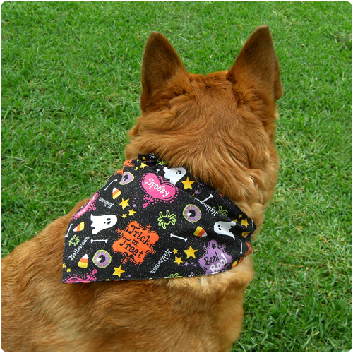 Dog Bandana Brown Inspired